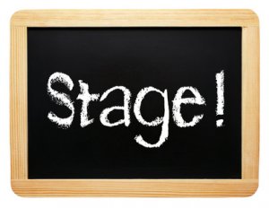 Frisbee recherche un&middot;e stagiaire en "Gestion de projet et communication dans le domaine enfance et jeunesse&rdquo; &ndash; 20-30% - 6 mois